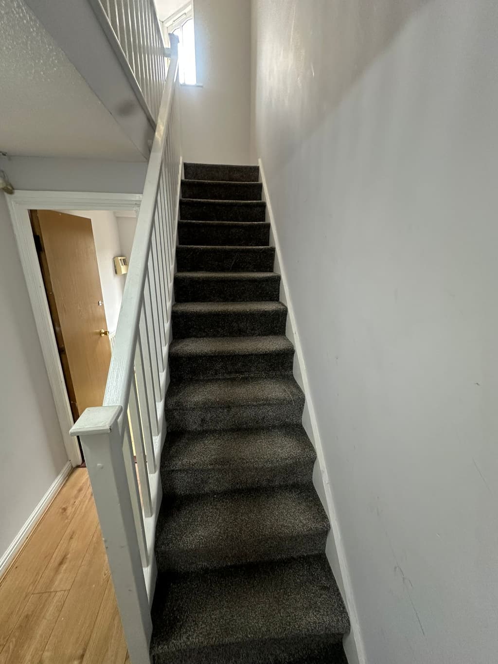 37 Trinity Mews student accommodation photo